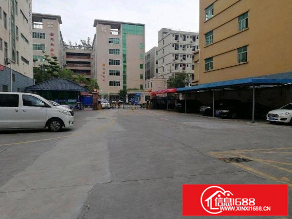 坂田新出全新厂房带装修出租