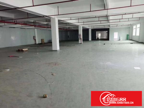 双证齐全空地大清溪铁松标准独院厂房出租7200平可分租