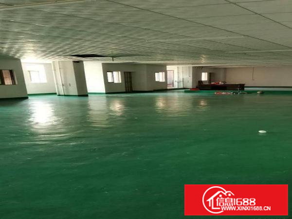 横沥镇可以做口罩厂房正宗无尘车间1200平方楼上厂房可以分租