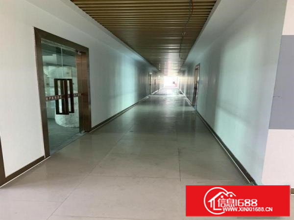 虎门沿江高速和广深高速之间免租期12个月的厂房出租啦