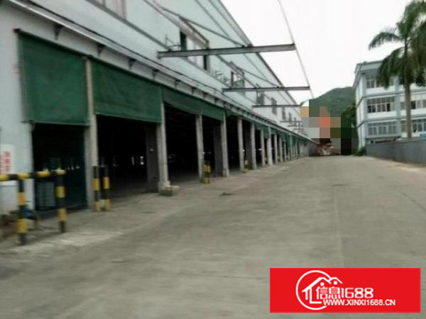 惠州仲恺十万平钢构厂房9米高空地大