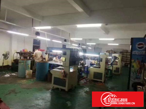 塘厦振兴围小独院厂房1680平方，水电齐全，现成办公室