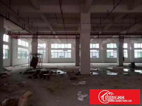 清溪镇三中空出一楼厂房1300平方高6米