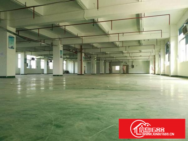 平南高速出口新出独院厂房10900平一到五层