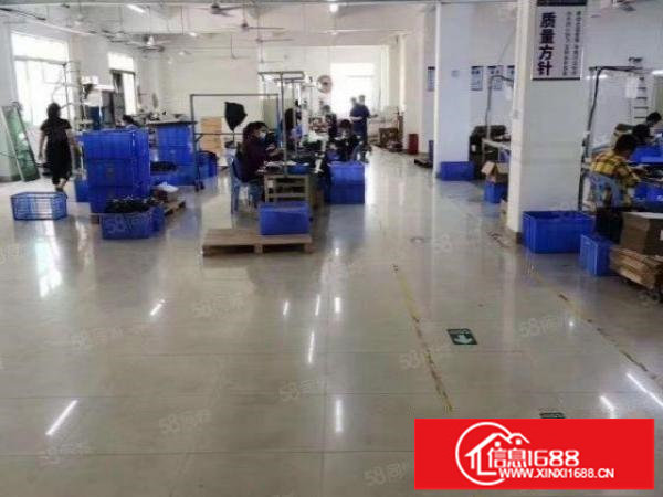 松岗塘下涌广田路边一楼800平多间办公室，水电到位，高度5米