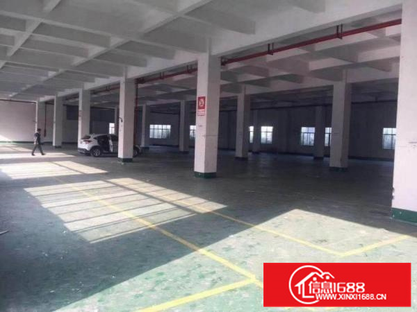 惠州秋长白石标准厂房(一搂)1500平方，滴水6米