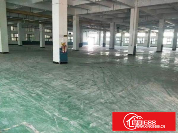 桥头镇新出超大空地标准独院厂房16000平方任意分租