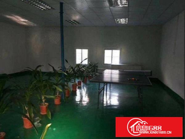 出租布吉长龙楼上500平方豪装办公室地坪漆吊顶