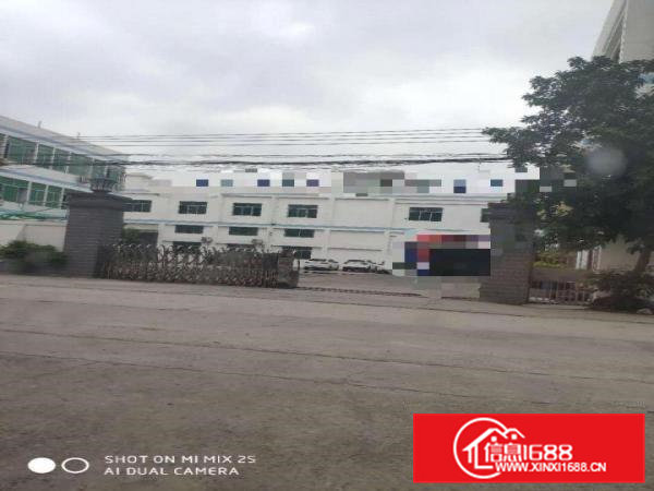 寮步原房东小独院出租