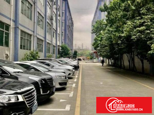 开发商一手直租，招商面积400-1350平不等。