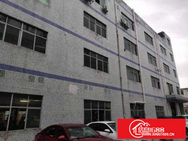 坪山碧岭沙湖新出独院标准厂房9300平整租16含税