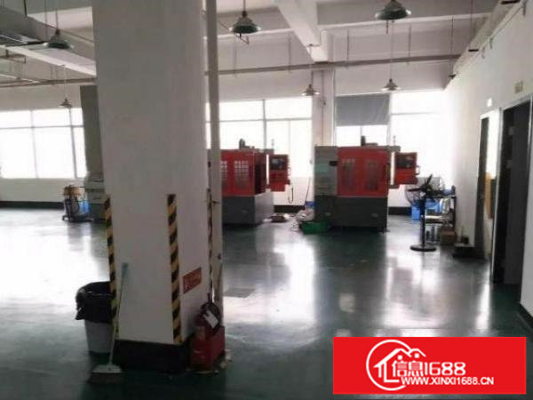 龙华大浪新百丽原房东1200平办公厂房出租，全新精装修