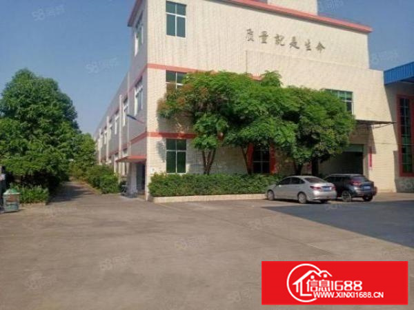 兴业西路主道干4800平，带牛腿