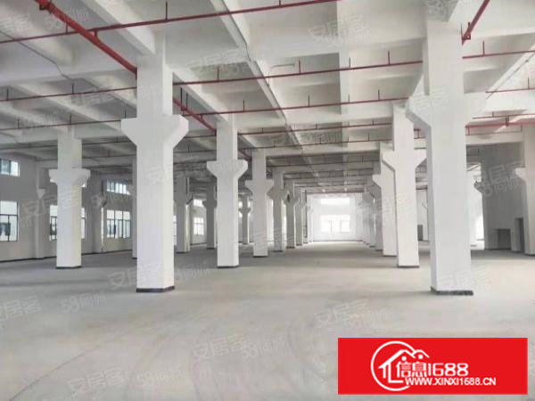 北栅原房东全新厂房分出租，600平方起租。
