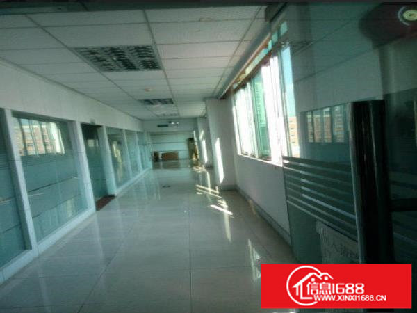 急租观澜君子布新空出一楼2200平标准厂房出租