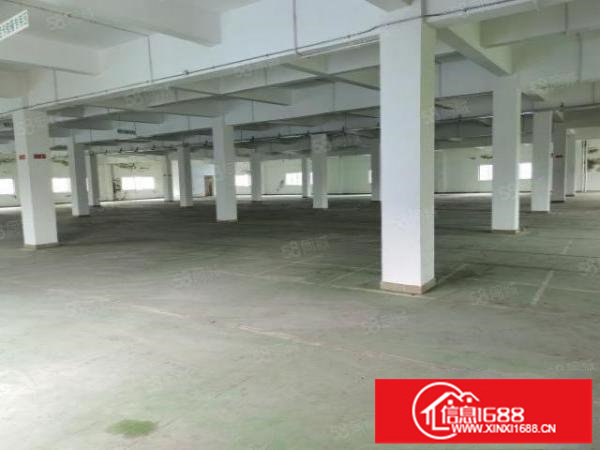 龙华新区大浪中心区13000平独院原房东出租