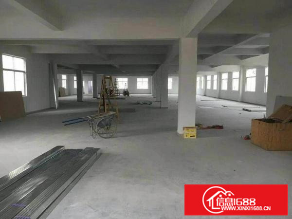 常平（原房东独栋）一二楼1000平米出租