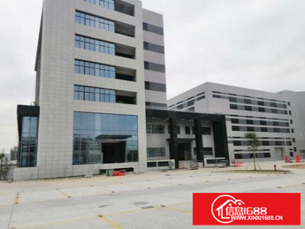 首层高9米，厂靓，空地大，顺德大良10000平方标准厂房出租