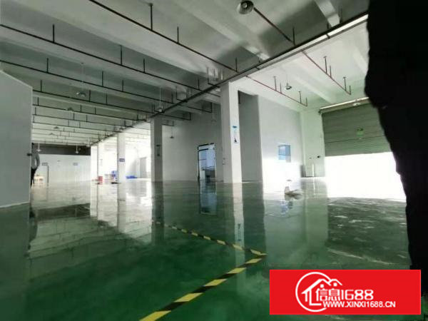 塘厦厂房出租龙背岭原房东独院厂房1200平米：地坪漆 办公室