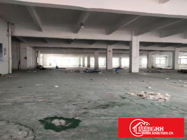 容桂华口高新区，红本厂房，环评秒过