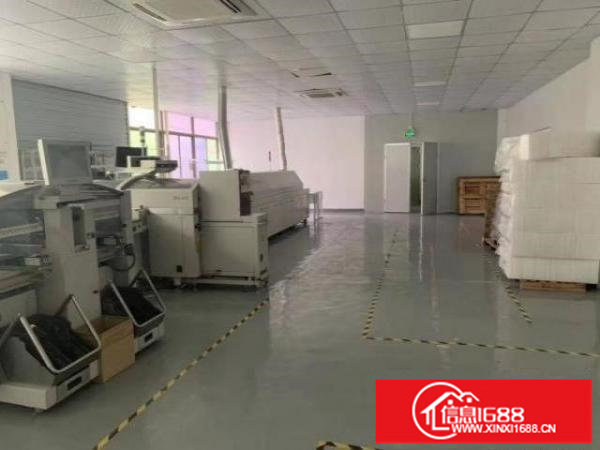 大浪新百丽星辉科技园贴片无尘1000平豪华装修免转让费急租