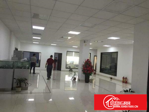 马安红本工业园一楼2400平方，高6米能办环评