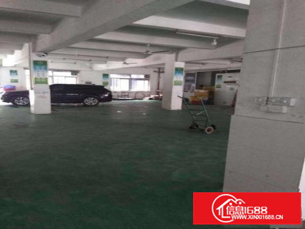 平湖白泥坑工业区1000平方精装修配送厂房出租，现成冷库