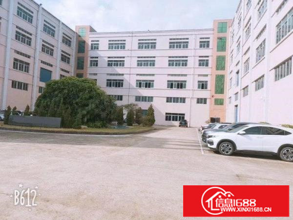 快来！空地可停飞机！坪山坑梓新空出一楼1000平红本厂房