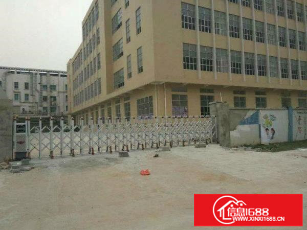 清溪铁松全新独院厂房4850平方高度6.5米超大电