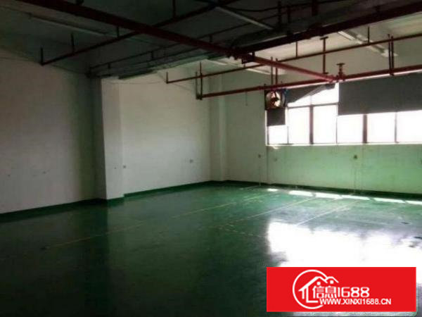 清溪铁场村急租一楼550平厂房，证件齐全