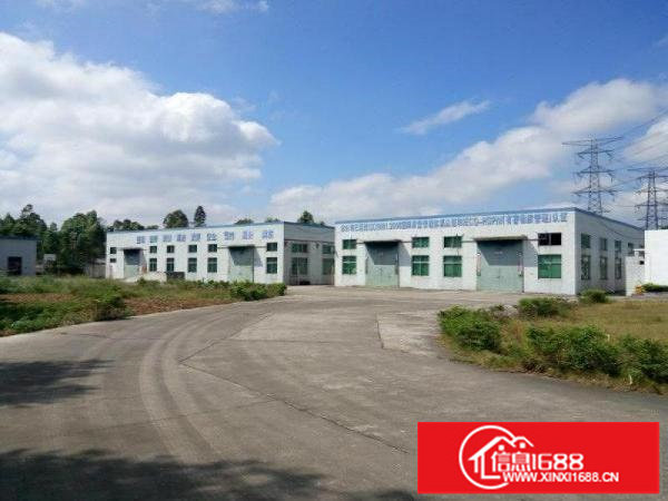 房东直租坪地六联一楼厂房5000平方米急出租