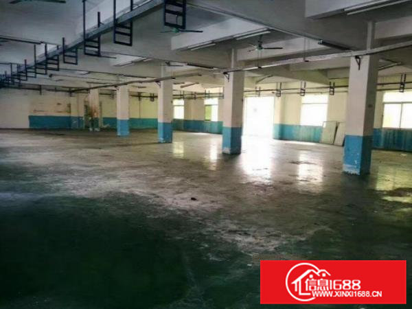 带牛角带行车！横沥两层4000平方米独院厂房出租