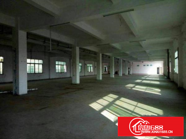 出租坪地坪地坪西独门独院厂房新鲜出炉交通方便