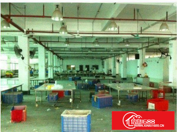 桥头禾坑现有厂房一楼1200平方急租