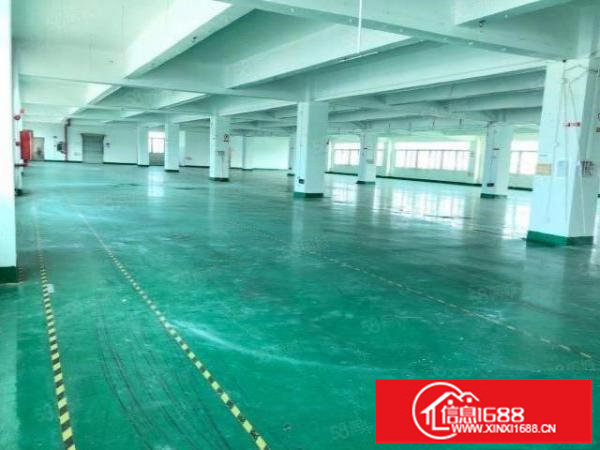 福永厂房仓库豪华写字楼新装修厂房优惠出租1000平可分租