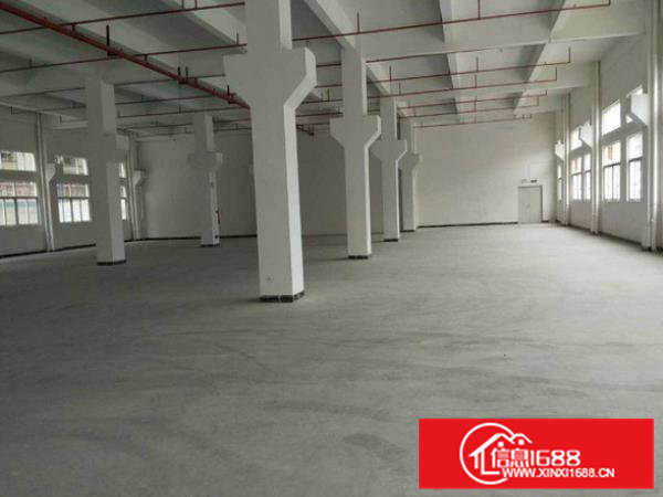 横沥隔坑新空出一楼900平方厂房出租现成水电