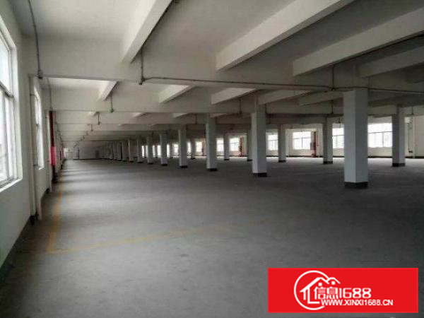 常平岗梓出租楼上厂房1200平方厂房