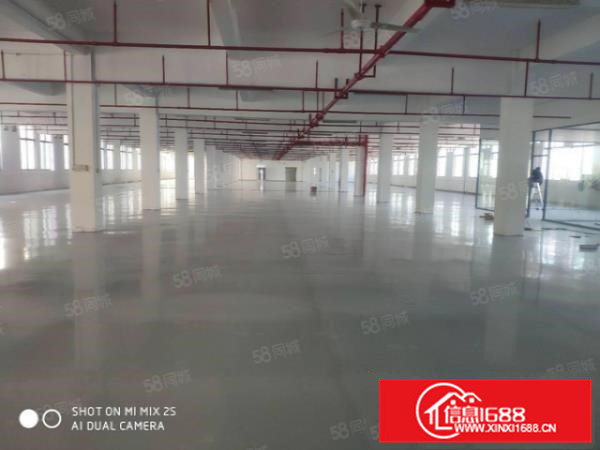 东莞市常平镇主干道旁工业区独立标准厂房10000平方出租