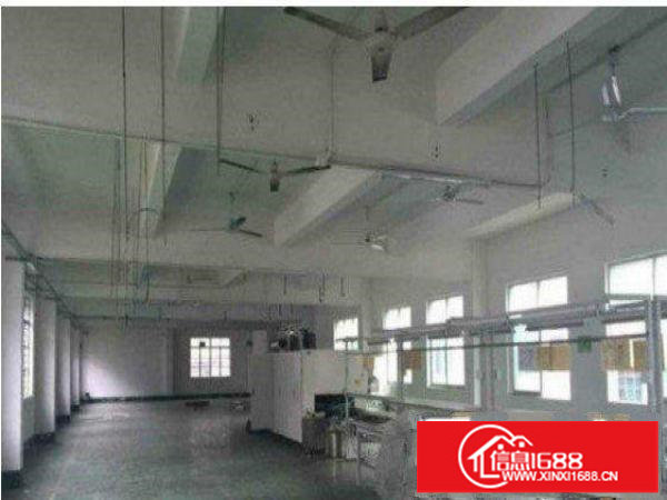 平湖鹅公岭标准厂房一楼1100平米九成新招租