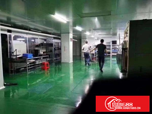 塘厦科苑城原房东无尘车间1000㎡