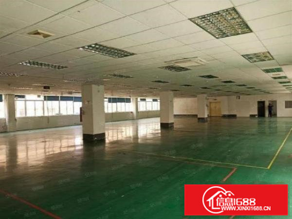 企石东山村860平大型园区厂房出租配套齐全