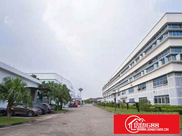 坪山大工业区原房东红本厂房1650平米