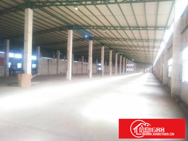 惠阳新圩新出3000平独院钢构厂房滴水8米出租