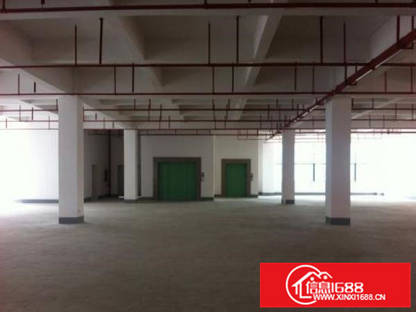 龙岗同乐浪背工业区独院4600平红本厂房招租