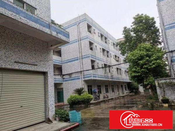 花园式~独院厂房急租~可分租