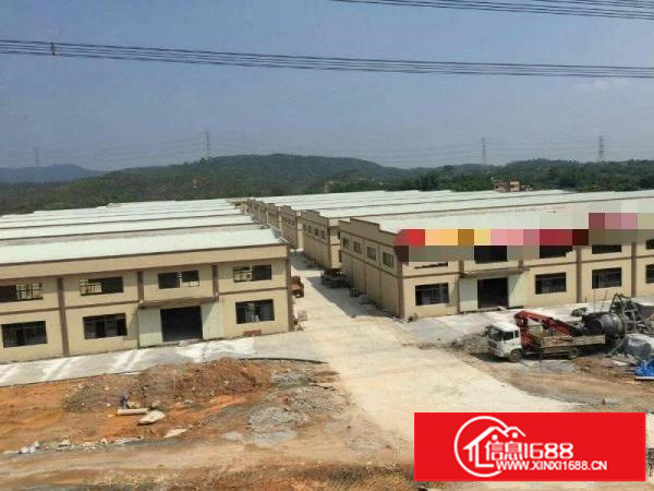 坪地现多套钢构厂房1500至6000平米出租