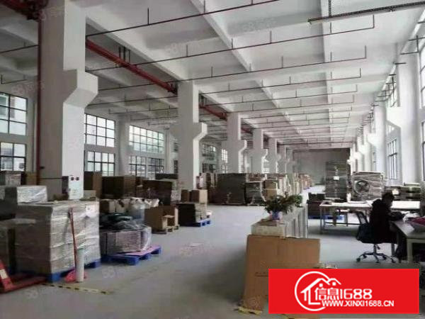 桥头镇新出标准厂房原房东1800平方水带牛角