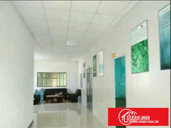 常平环城路旁新出独院三层厂房2600平方