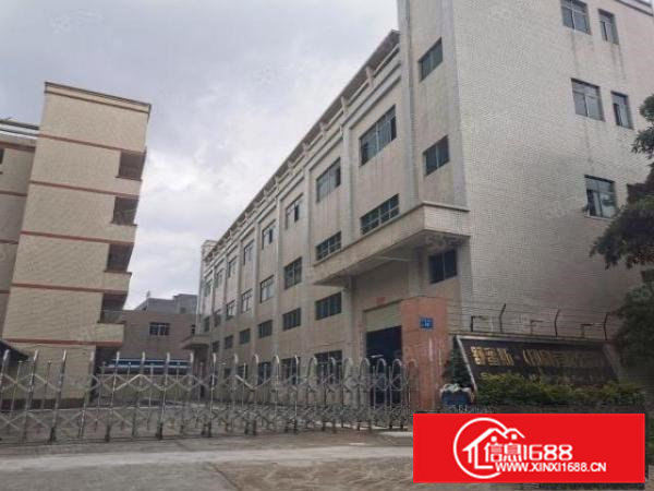 清溪三中新出原房东独院5800平方低价急租