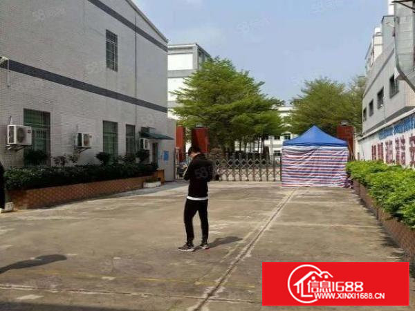 桥头镇原房东独院单一层钢构厂房，带抽粒环评，拎包就可以生产